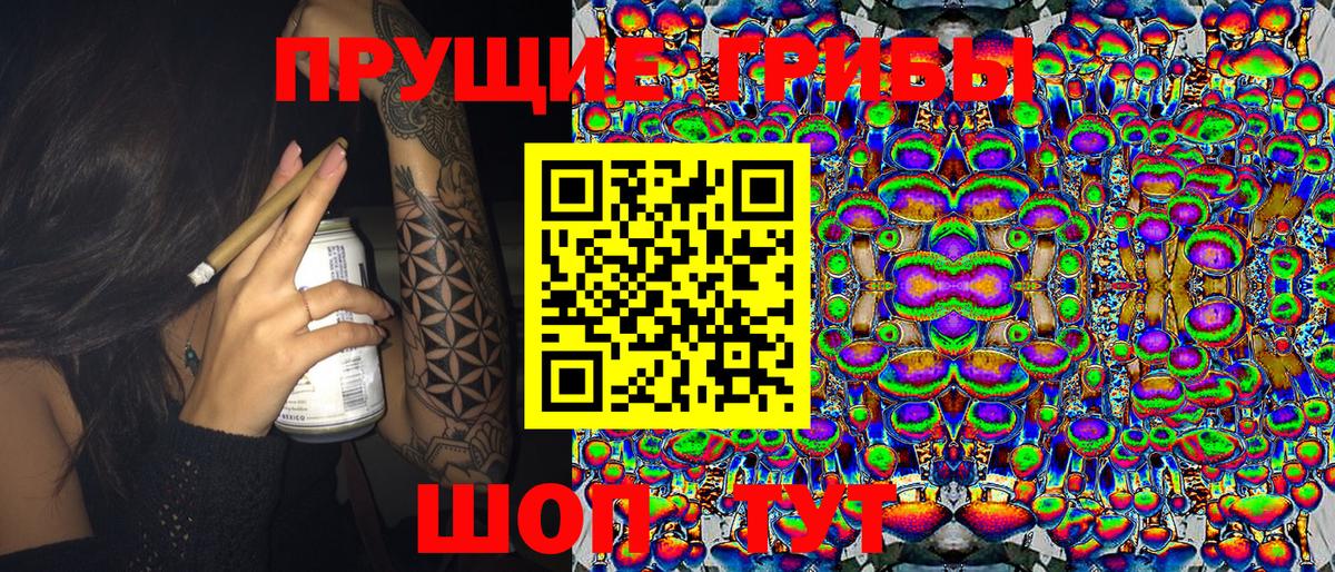 цена   Вход с VPN  Самара  Галлюциногенные грибы GOLDEN TEACHER 
